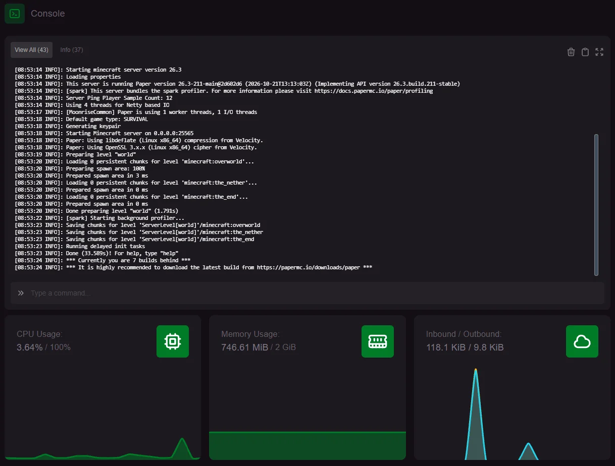 Console : le serveur en direct, et les graphiques juste en dessous.